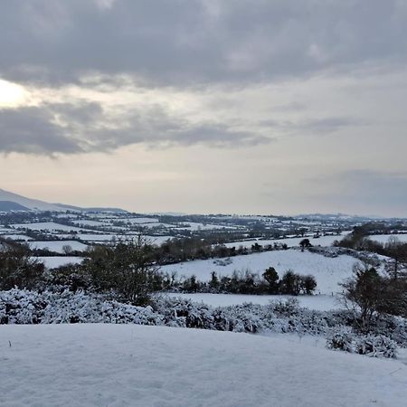 Riverside Cabin Limerick Junction المظهر الخارجي الصورة