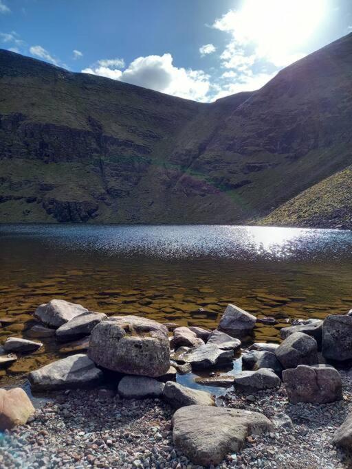 Riverside Cabin Limerick Junction المظهر الخارجي الصورة