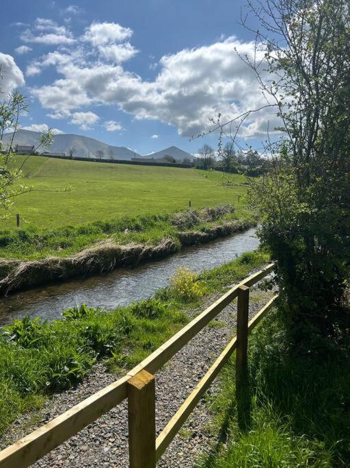 Riverside Cabin Limerick Junction المظهر الخارجي الصورة