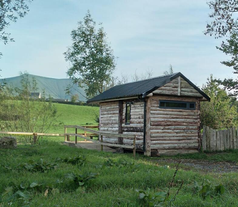 Riverside Cabin Limerick Junction المظهر الخارجي الصورة