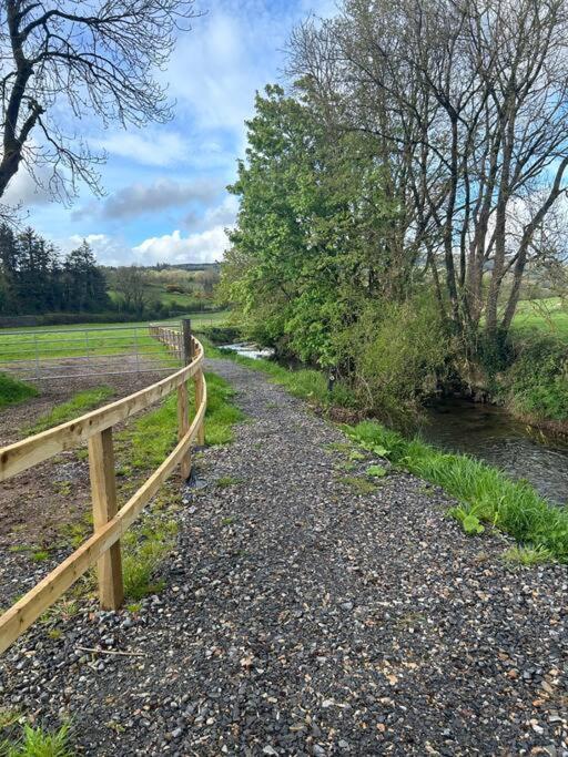Riverside Cabin Limerick Junction المظهر الخارجي الصورة