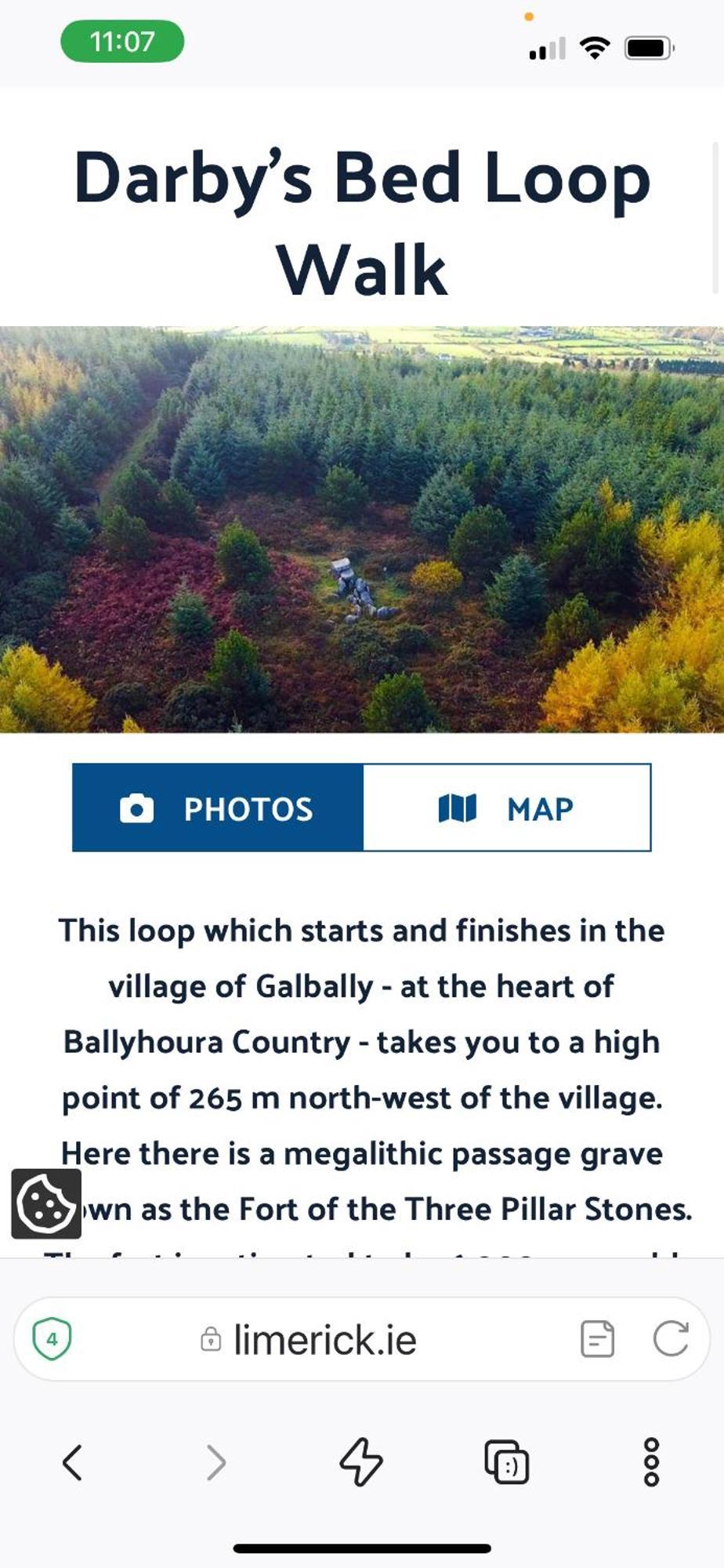 Riverside Cabin Limerick Junction المظهر الخارجي الصورة