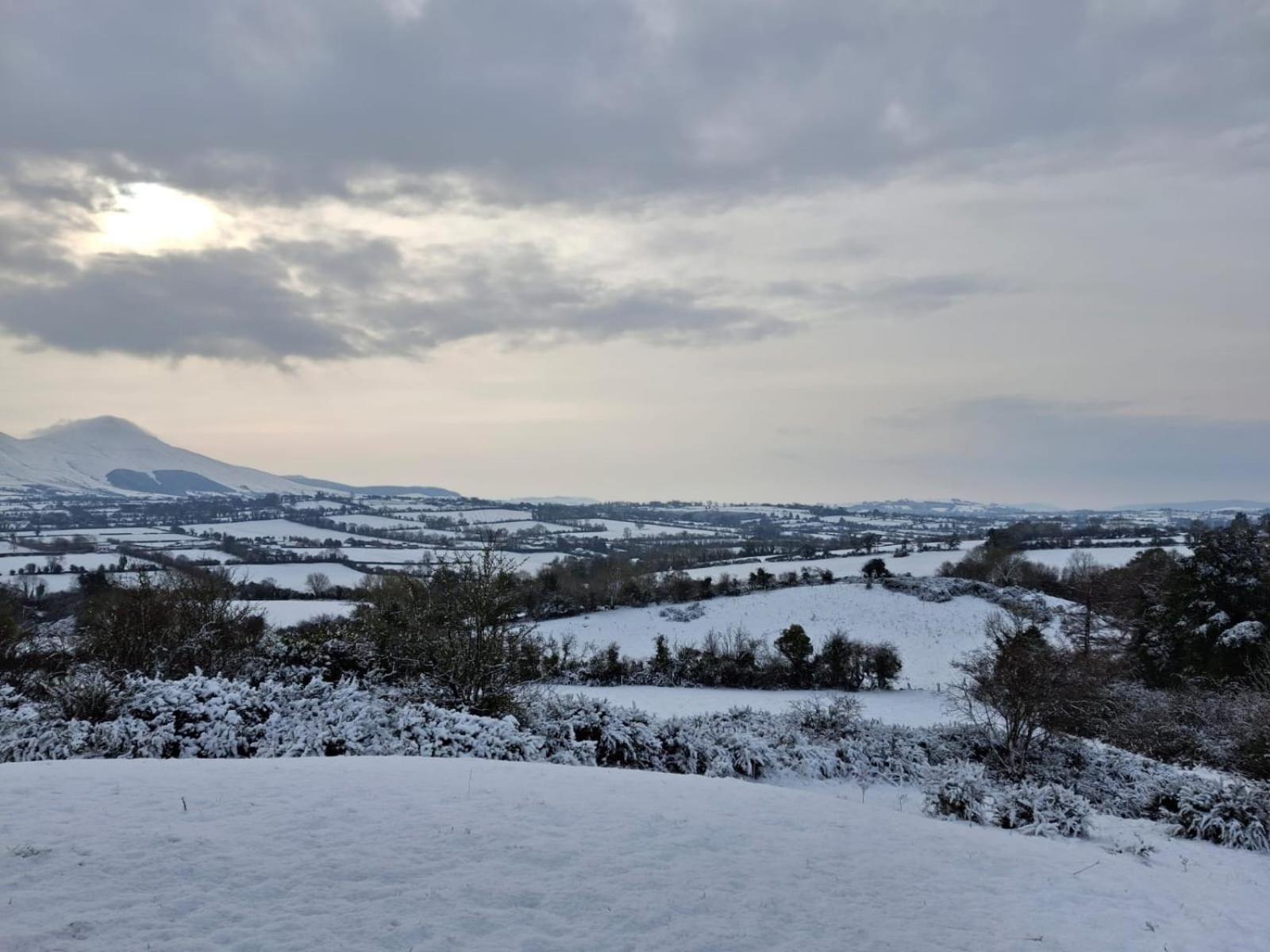 Riverside Cabin Limerick Junction المظهر الخارجي الصورة