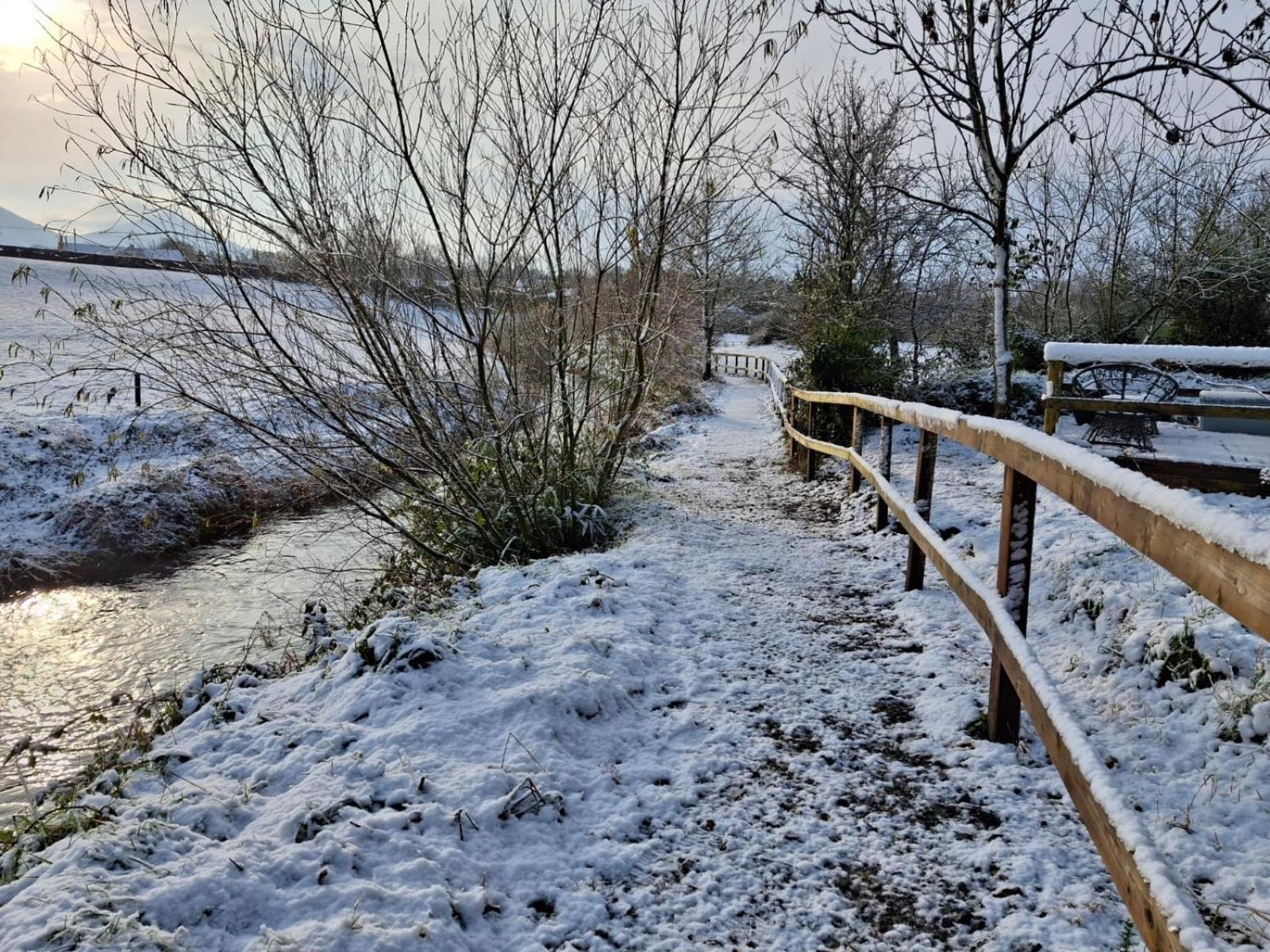 Riverside Cabin Limerick Junction المظهر الخارجي الصورة