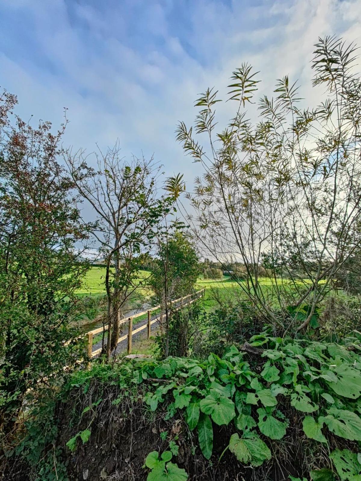 Riverside Cabin Limerick Junction المظهر الخارجي الصورة
