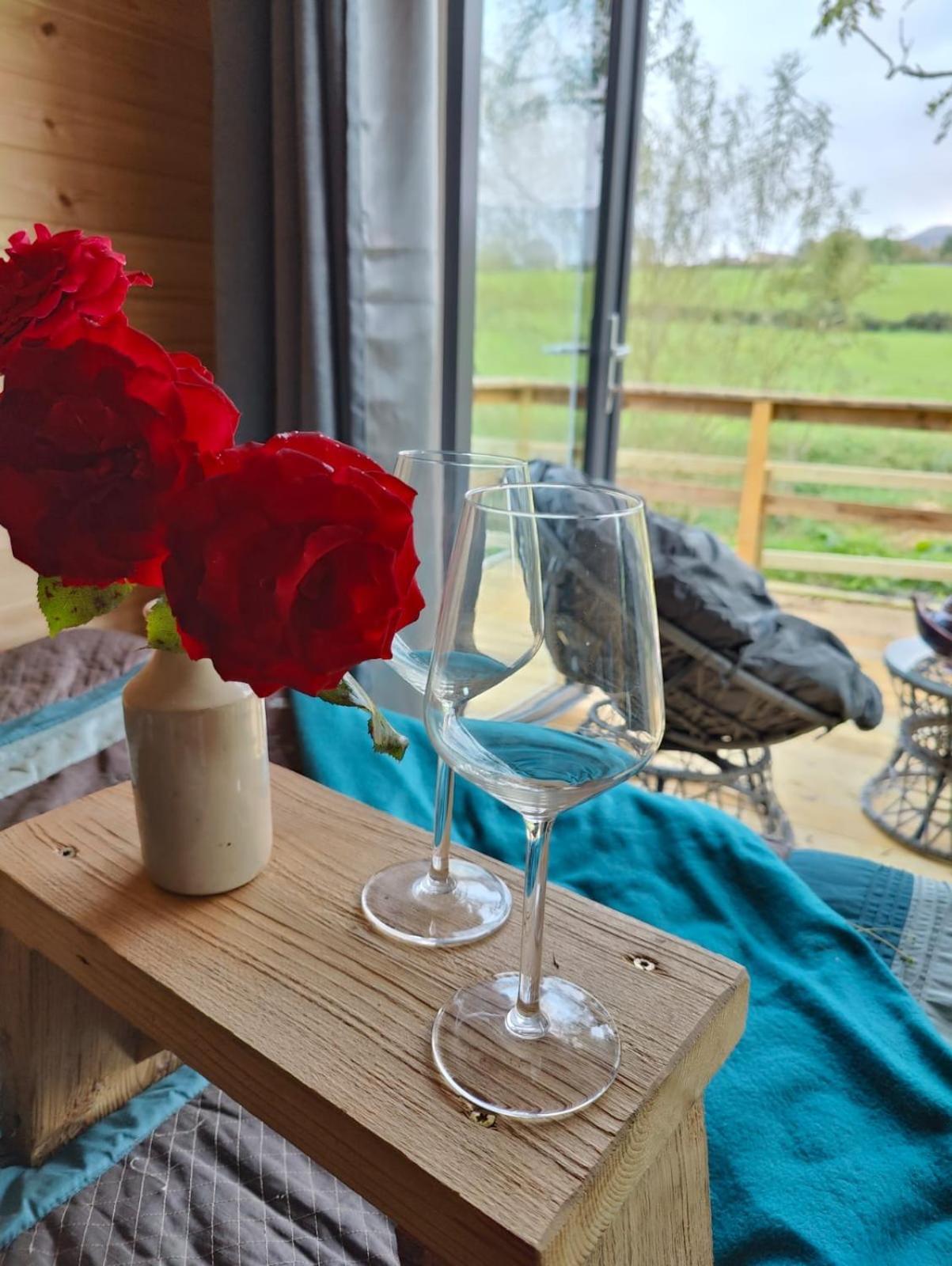 Riverside Cabin Limerick Junction المظهر الخارجي الصورة